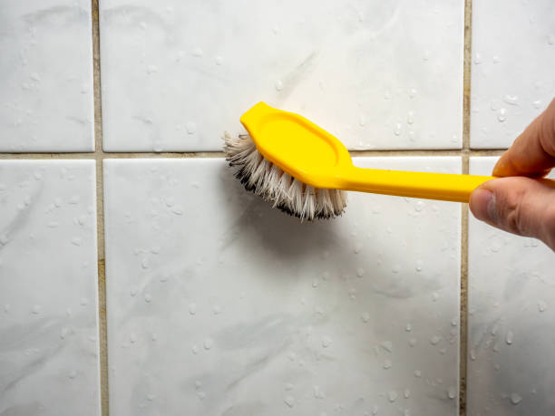 Mold Testing and Removal in Caldwell, NJ
