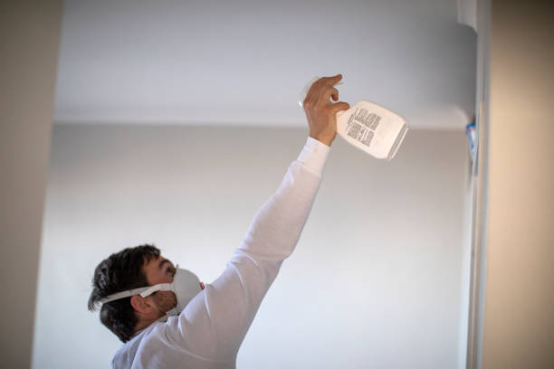 Professional Mold Removal in Caldwell, NJ